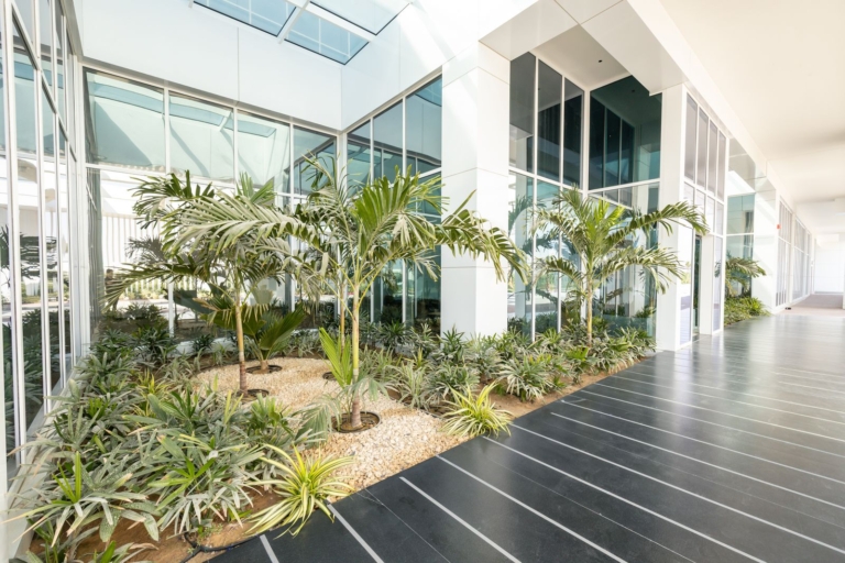 G+M Pharma Manufacturing